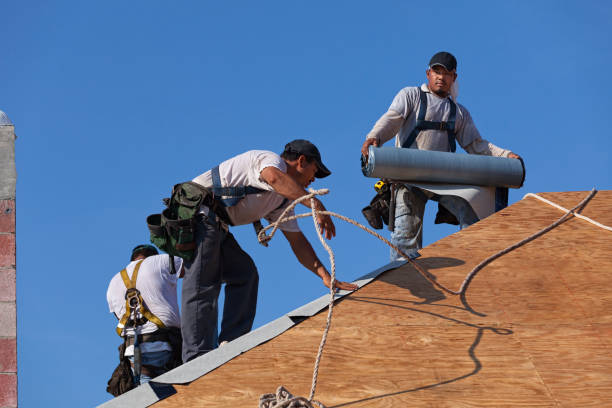 Trusted Genoa, AR Roofing Contractor Experts